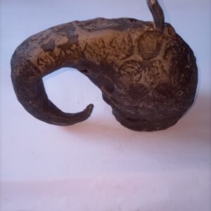 Escultura banya