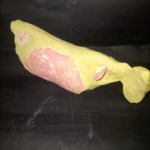 Escultura peix